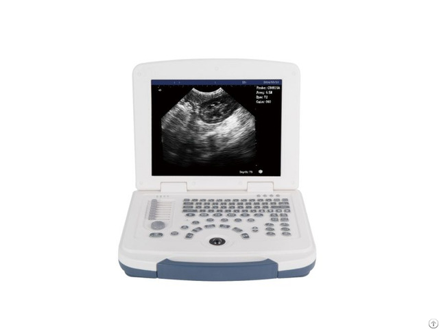 Portable Veterinary Ultrasound Diagnostic System For Efficient Pet Care Solutions