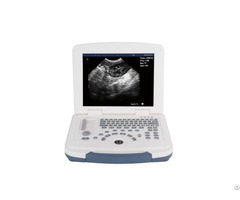 Portable Veterinary Ultrasound Diagnostic System For Efficient Pet Care Solutions