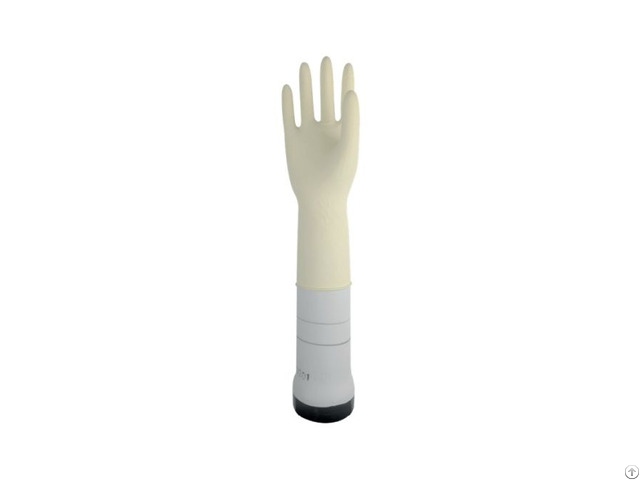 Inspection And Surgical Gloves