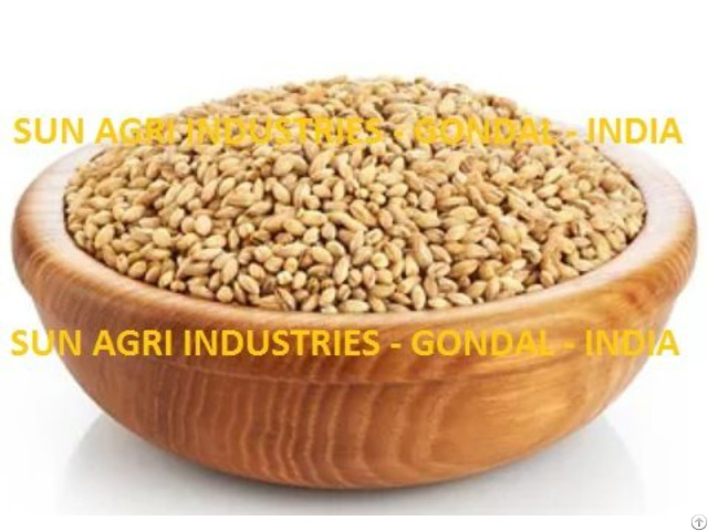Lokwan Wheat