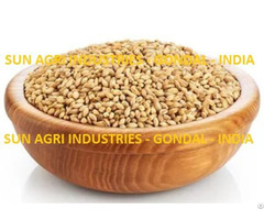 Lokwan Wheat