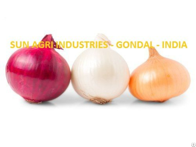 Indian Onion