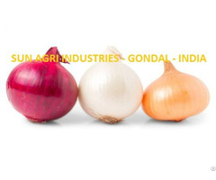 Indian Onion