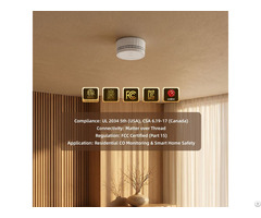 Ul2034 Certified Matter Carbon Monoxide Alarm With Replaceable Lithium Battery
