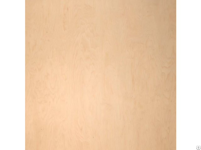 A Grade Pre Finished Maple Plywood