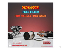 Fuel Filter 0707 0012 61011 04a T03 0077 For Harley Davidson