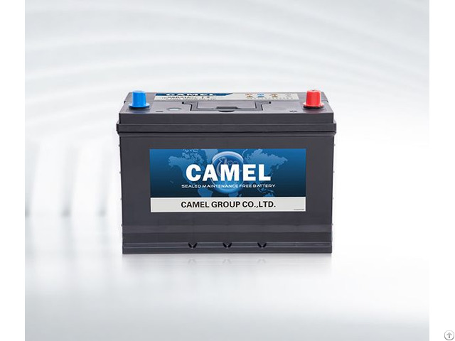 Automotive Starter Battery