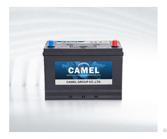 Automotive Starter Battery