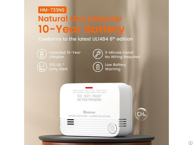 Ul1484 Certified Natural Gas Alarm 10 Year Sealed Battery