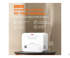 Ul1484 Certified Natural Gas Alarm 10 Year Sealed Battery
