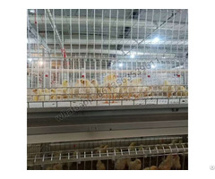 H Type Full Automatic Broiler Chicken Cage