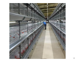 H Type Full Automatic Pullet Cage