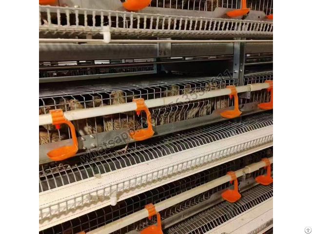 H Type Full Automatic Layer Quail Cage