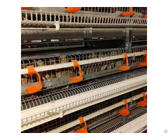 H Type Full Automatic Layer Quail Cage