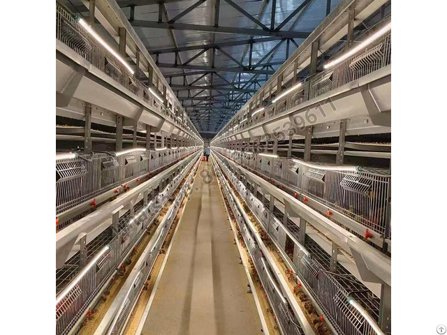 H Type Full Automatic Broiler Quail Cage