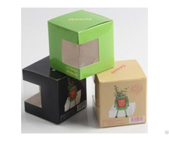 Custom Printed Boxes