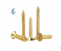 Self Tapping Screw