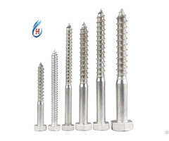 Custom Stainless Steel Heavy Hex Bolts And Pegs
