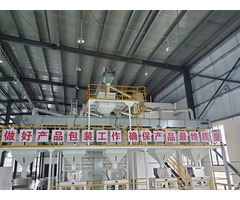 Multi Point Feeding Elevator