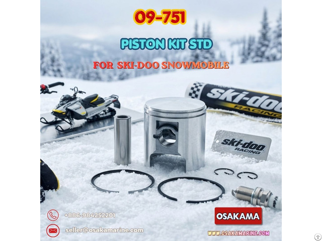 ❄ Ski Doo Snowmobile Piston Kit Std 09 751