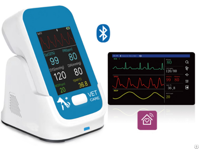 Veterinary Monitor