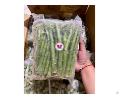 Frozen Asparagus Premium Quality