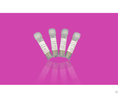 Yeast Display Based Naïve Vhh Library From Camel