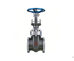 Stainless Steel Gate Valve Manufacturer