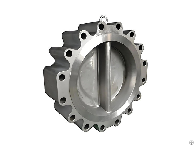 Lug Check Valve