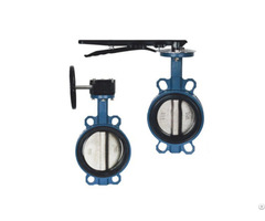 Wafer Type Butterfly Valve Manufacturer