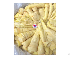 Premium Frozen Vietnamese Bamboo Shoots Export Grade