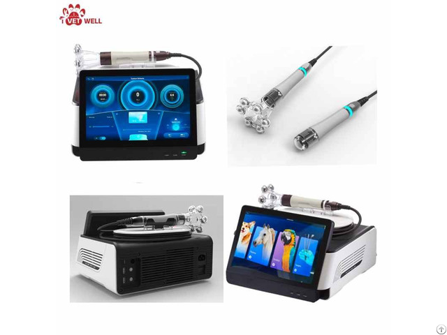 Veterinary Dlode Laser System
