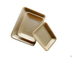 414pla Full Biodegradable Tray