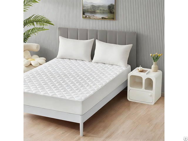 Custom Hotel Anti Dust Mite Quilted Waterproof Mattress Protector
