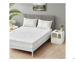 Custom Hotel Anti Dust Mite Quilted Waterproof Mattress Protector