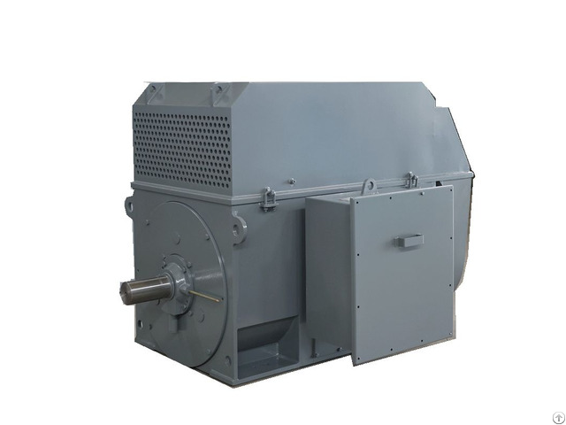 Squirrel Cage Medium Voltage Electric Motors
