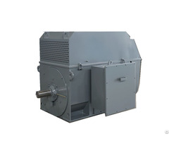 Squirrel Cage Medium Voltage Electric Motors