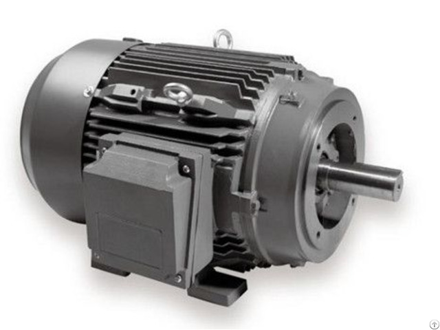 Nema Premium Electric Motor