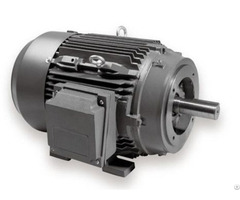 Nema Premium Electric Motor