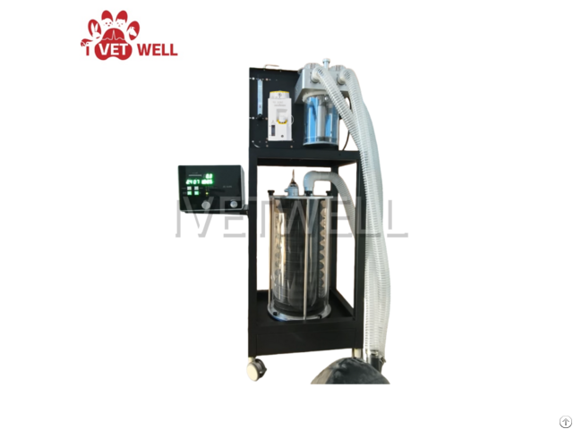 Large Vet Anesthesia Machine With Ventilator