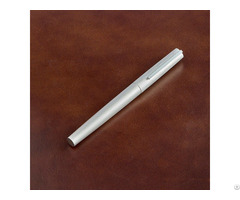 Custom Logo Brushed Silver Fountain Pen