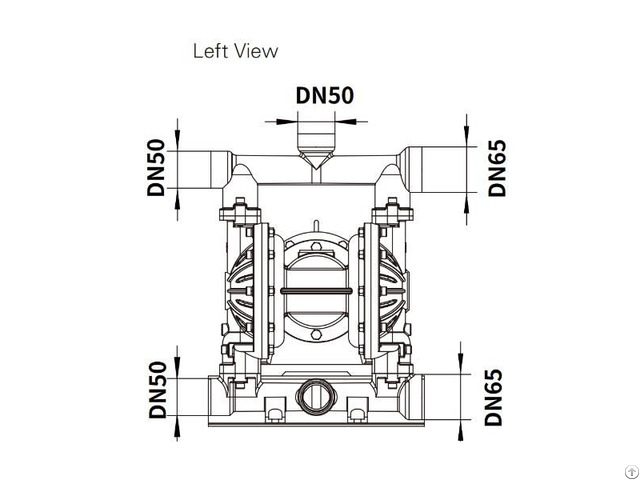 Rydby3 65 Stainless Steel Nodular Cast Iron Diaphragm Pump