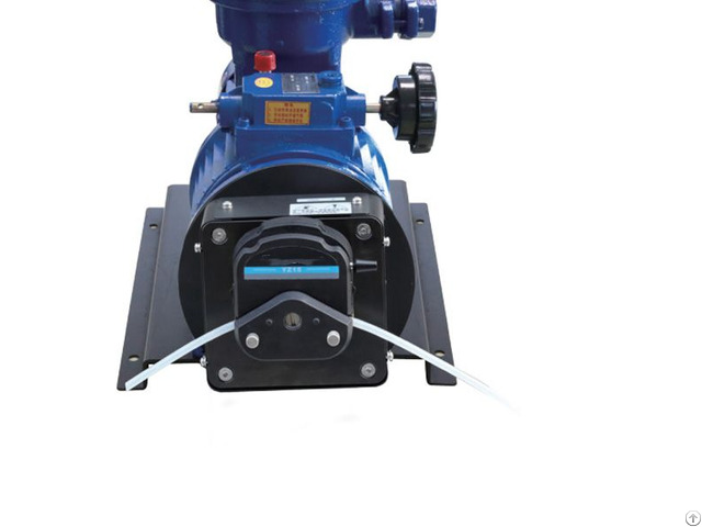 Ryfg600s W5 Explosion Proof Motor Peristaltic Pump