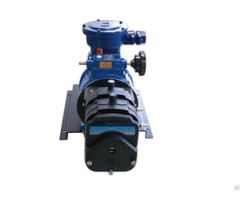 Ryfg601s W7explosion Proof Motor Peristaltic Pump