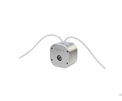 Micro Pulsation Pump Head Ryit