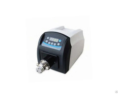Ryct3100s Precision Gear Pump