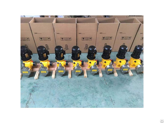 Ryzrgm 10 Mechanically Driven Diaphragm Metering Pump