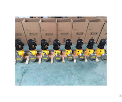 Ryzrgm 10 Mechanically Driven Diaphragm Metering Pump