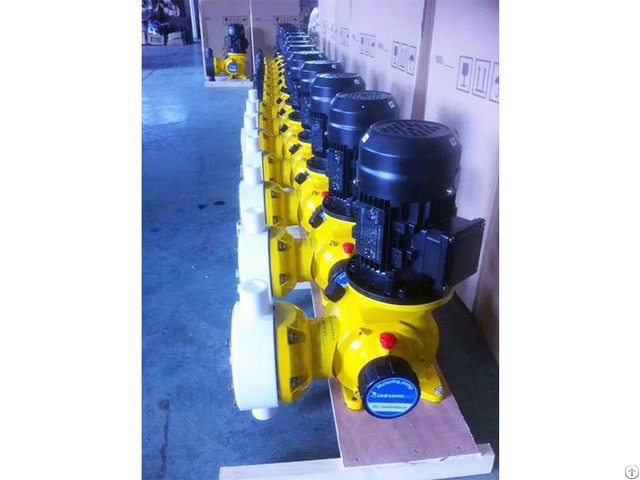 Ryzrx40 Plunger Metering Pump