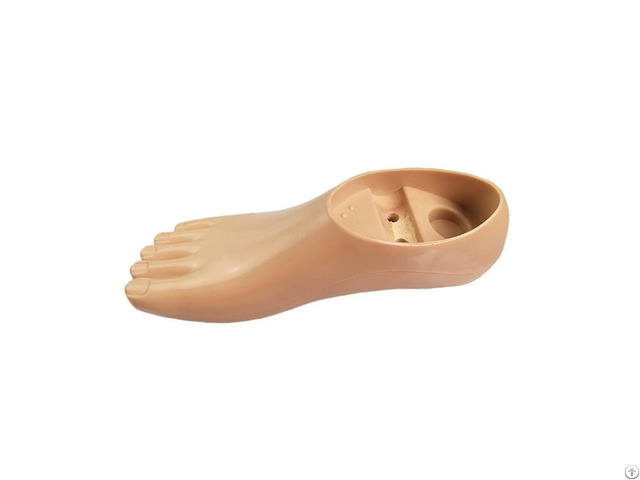 Pcf Prosthetic Double Axis Foot